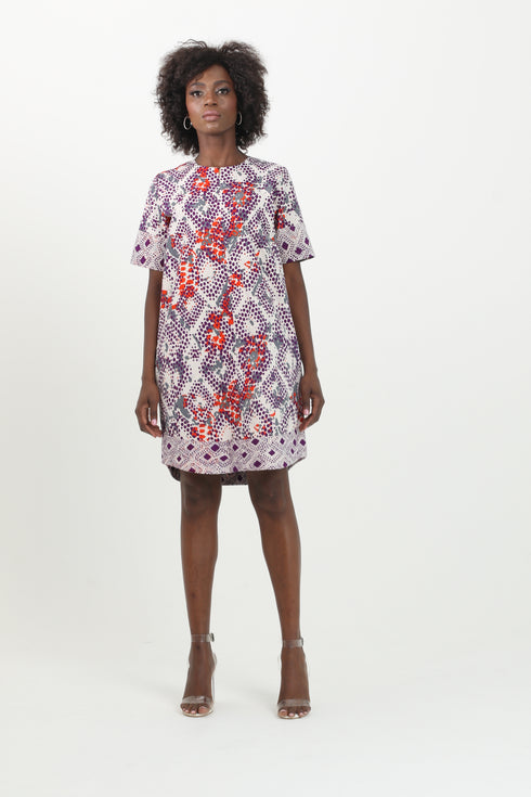 Abby Print Mini Dress