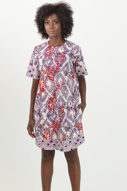 Abby Print Mini Dress