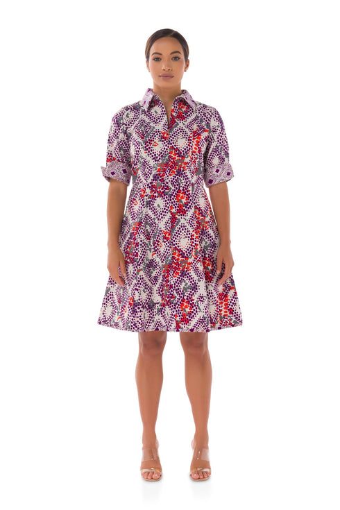 Annabel Print Shirt Dress