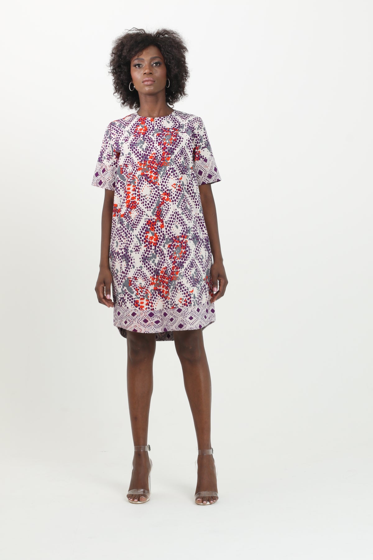 Abby Print Mini Dress