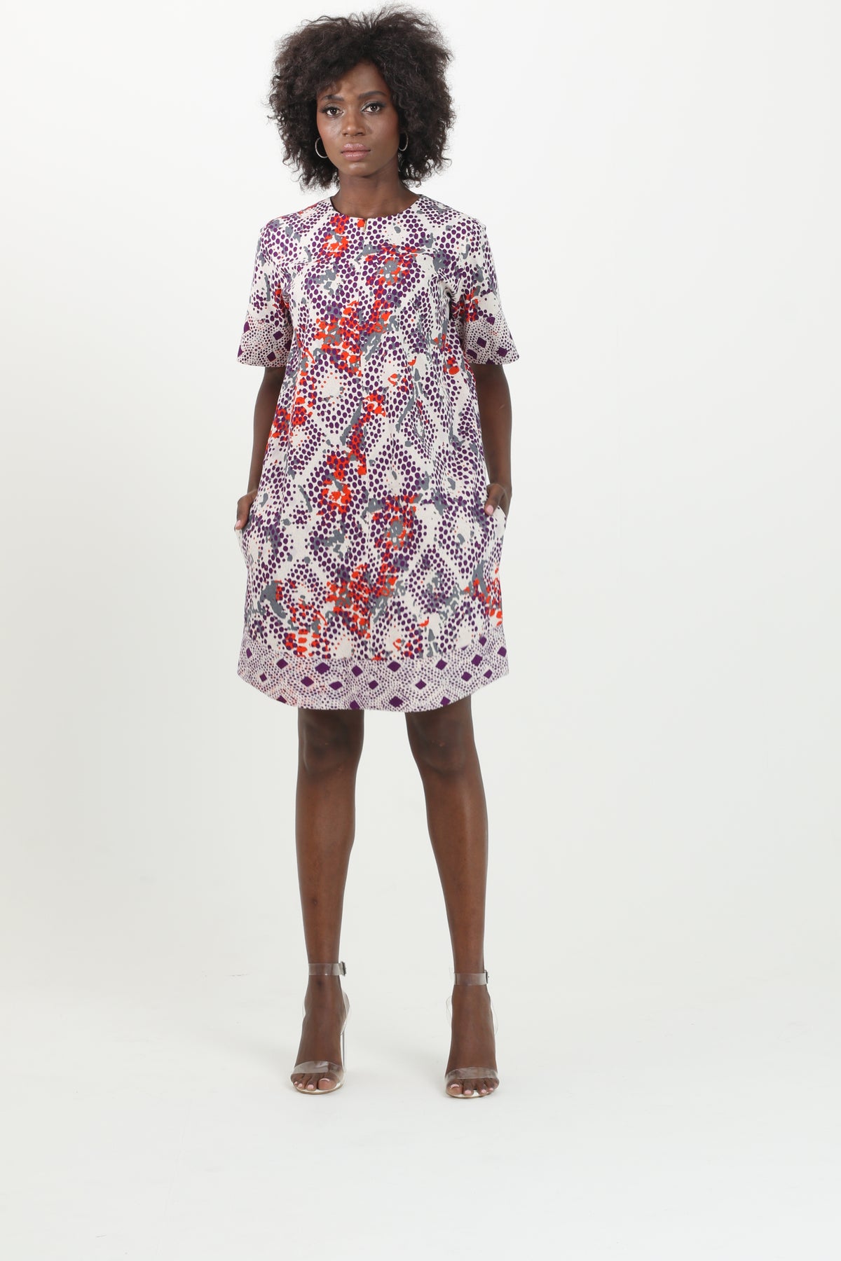 Abby Print Mini Dress