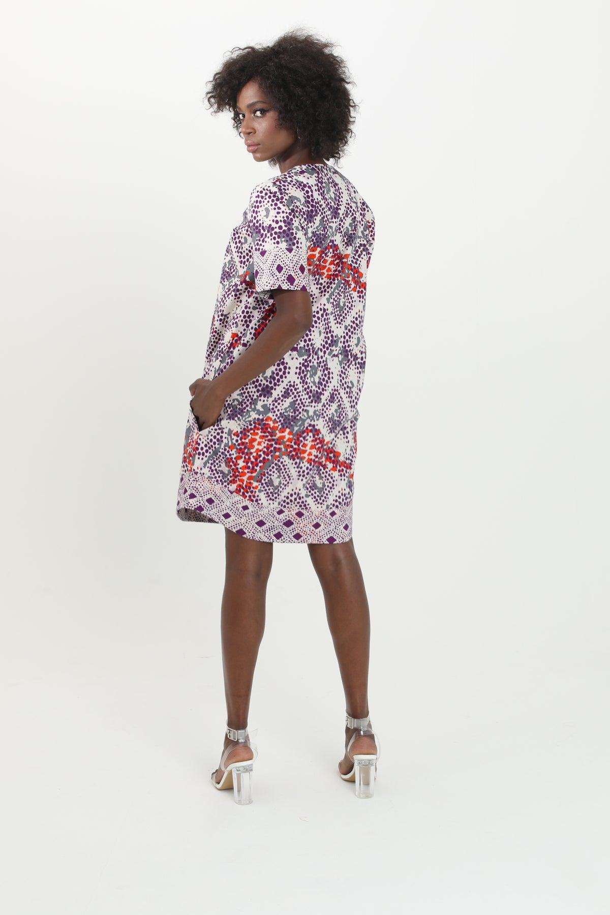 Abby Print Mini Dress